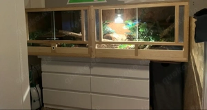 Terrarium mit allem Zubehör 