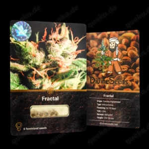 Sammlersamen Fractal