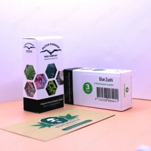 Sammelnsamen Blue Zushi