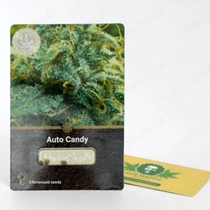 Sammelnsamen Auto Candy