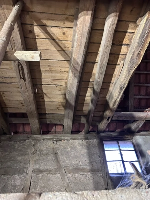 Sandstein Platten Steine zu verschenken 