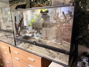Terrarium Exo Terra 90  60  50 