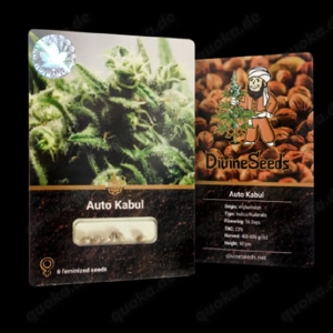 Sammelnsamen Auto Kabul