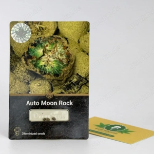 Sammelnsamen Auto Moon Rock