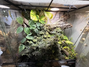 Exo Terra Terrarium 90 45 90