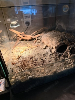 Glasterrarium 40x40x30