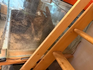 XXL Terrarium 150  80  50 