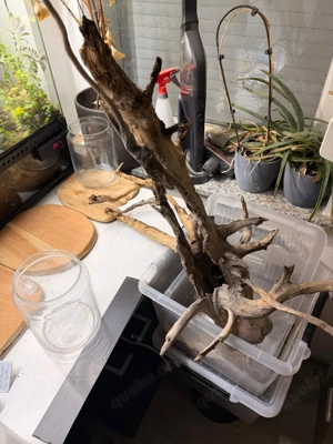 Holzwurzel 70cm Lang