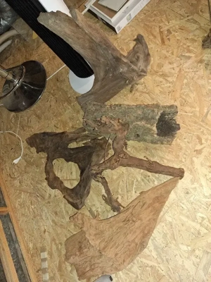 Verschiedene Wurzeln für Terrarium