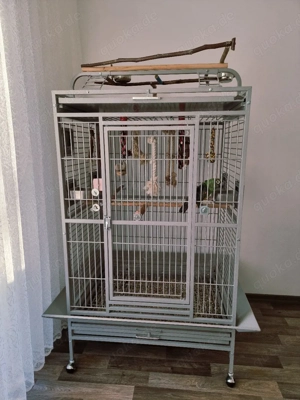 Verkaufe Papageienkäfig 