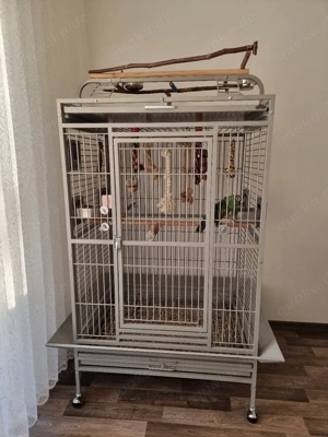 Verkaufe Papageienkäfig 