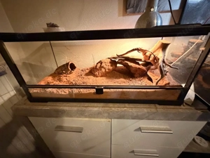 Terrarium 76x31x34   Bild 2