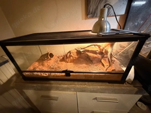 Terrarium 76x31x34   Bild 3