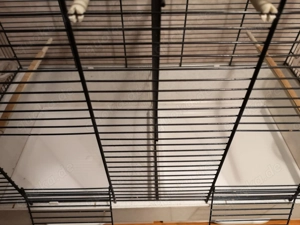 Ferplast Vogelkäfig 71 x 38 x h 60.5 Bild 5