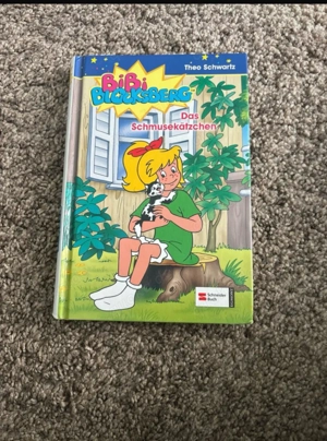 Buch von bibi Blocksberg 