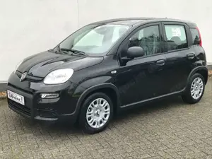 Fiat Panda 1.0 GSE Hybrid 2024 Sitzheizung Fahrerseit