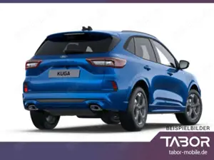 Ford Kuga Bild 3