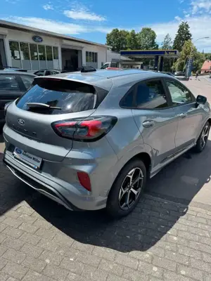 Ford Puma ST-Line, FaPa, WiPa, 360 Grad Kamera Bild 3