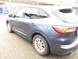 Ford Kuga 2.0 EcoBlue Hybrid ST-LINE X Bild 3