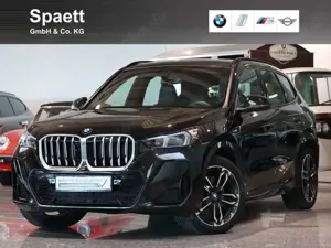 BMW X1 sDrive20i  M Sport AHK 19Zoll DrivAssPlus HarmKar