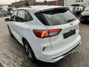 Ford Kuga 2.5 Duratec Plug-in-Hybrid PHEV ST-Line e Bild 5