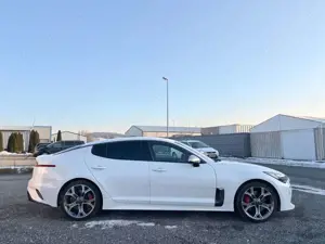 Kia Stinger Kia Stinger GT 4WD NoOPF SnowWhite BI-LED MwSt Bild 5