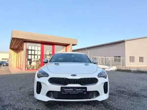 Kia Stinger Kia Stinger GT 4WD NoOPF SnowWhite BI-LED MwSt Bild 3