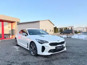 Kia Stinger Kia Stinger GT 4WD NoOPF SnowWhite BI-LED MwSt Bild 4