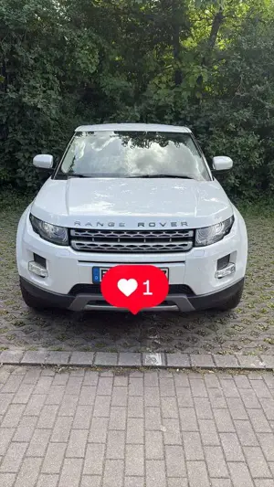 Land Rover Range Rover Evoque 4x4 Pure Leder Xenon Bild 3