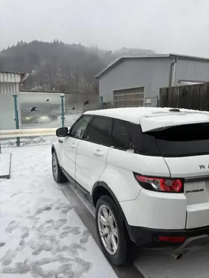 Land Rover Range Rover Evoque 4x4 Pure Leder Xenon Bild 5