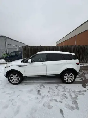 Land Rover Range Rover Evoque 4x4 Pure Leder Xenon Bild 2
