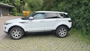 Land Rover Range Rover Evoque 4x4 Pure Leder Xenon Bild 4
