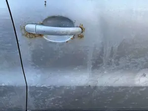 Volkswagen Tiguan Sport Bild 3