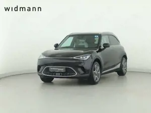 smart #1 Pro+ *Pano*PTS*360°Kamera*Navi*SHZ*smartlink*