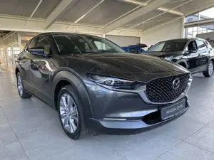 Mazda CX-30 2.5 Exclusive Matrix, Bose, 360°, PDC, SHZ, Navi,