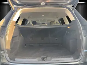 Ford Kuga 1.5 EcoBoost 4x4 Individual Bild 5