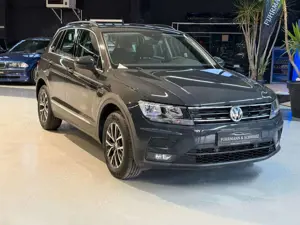 Volkswagen Tiguan 2.0 TDI 4Motion+AHK Schwenkb.+Winterpaket Bild 3