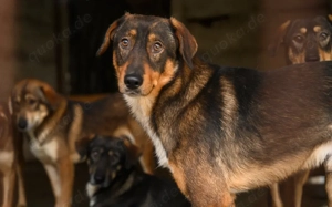 Rocket möchte in seine Zukunft starten!