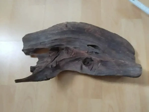 Aquarium Wurzel 35 cm - Naturdeko für Aquarium