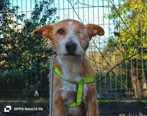 Ahoi   hier kommt JACK    unser tapferer  Ein-Augen-Pirat