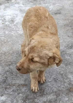 Duke soll in einer Familie aufwachsen Bild 9