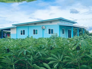 Haus mit 14400 qm  Grundstück Thailkand 