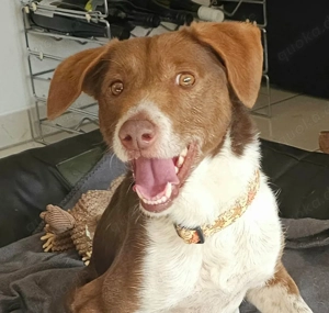 Gemeinsam ins neue Jahr starten