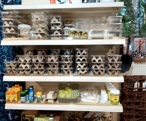 Futterinsekten in Top-Qualität