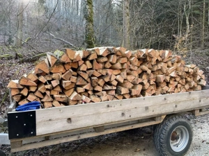 Brennholz, Tanne Fichte 50 cm