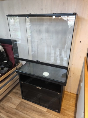 Exo Terrarium abzugeben 