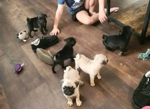 Sie sind bald abgabebereit. 