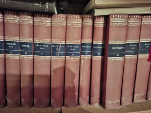 Buchreihe "Die Bibliothek deutscher Klassiker" (1982, komplett) Bild 4