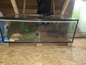 Terrarium 100x50x40