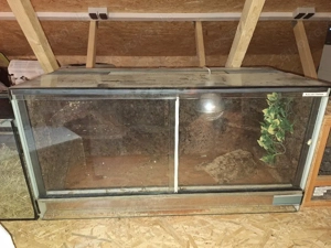 Terrarium mit Rückwand 100x50x50